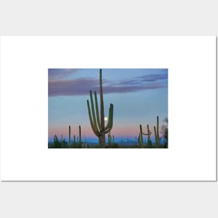 Saguaro And Moon Saguaro National Park Posters and Art